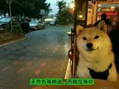 公关策划：锤子新品发布会全程直播 参与互动送手机