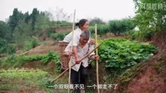 线上活动策划：爸爸月薪2万 就能撑得起一个家吗？