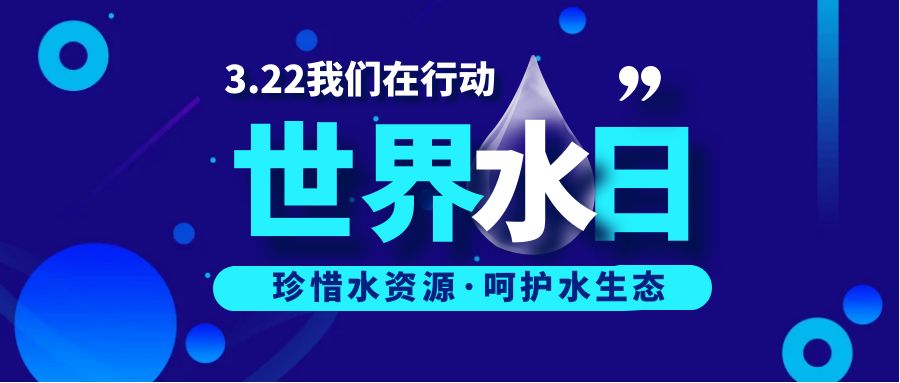 共护水资源，守护蓝色家园：世界水日活动策划方案