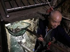 活动策划公司：农户家里挖出神秘鱼泉 每天捡百斤河鱼年入30万！