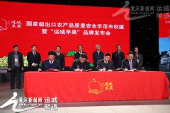 活动策划公司：“运城苹果”品牌发布会隆重举行