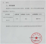 服装发布会策划：依靠产品独特的设计